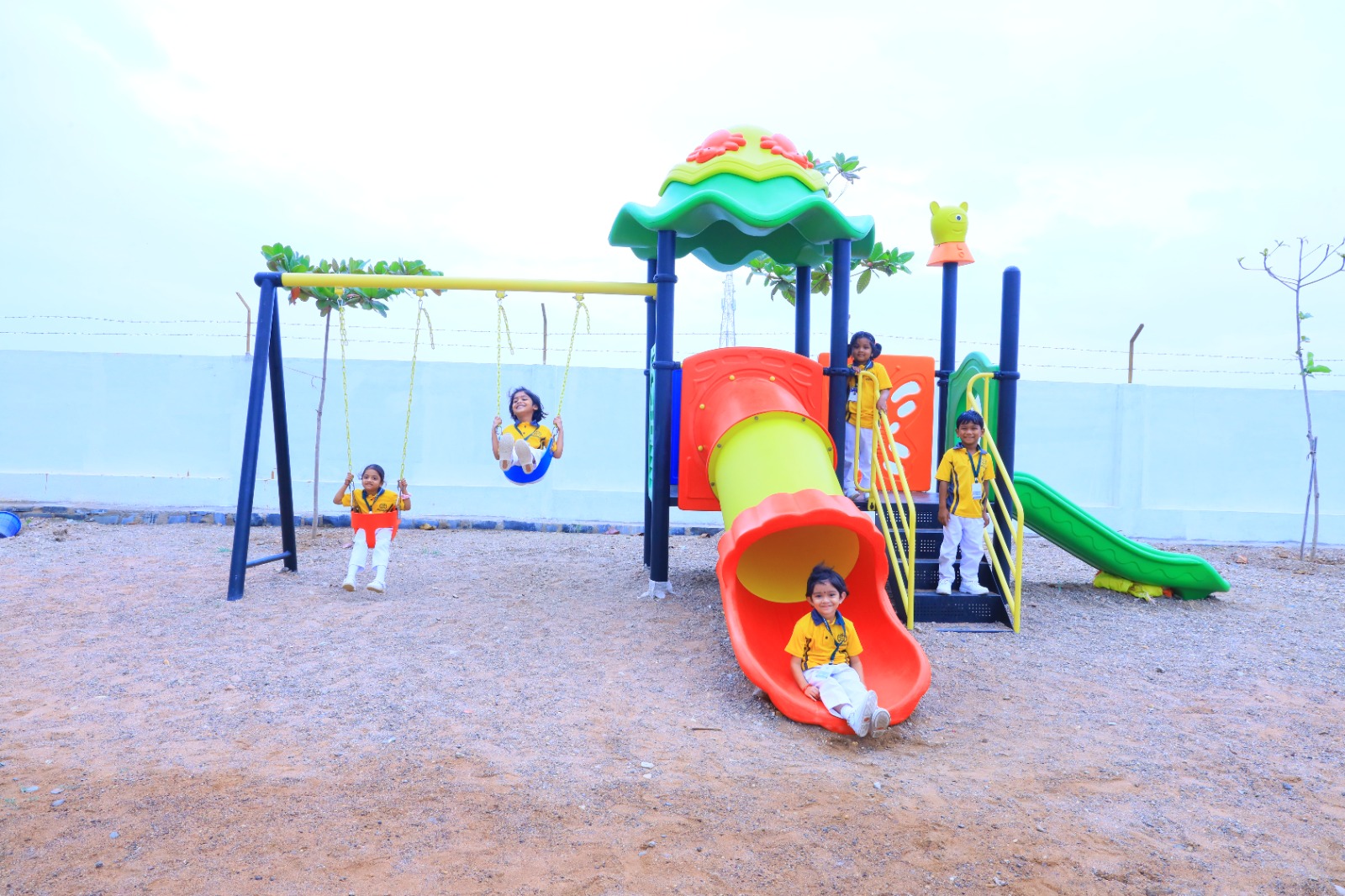 Play Area